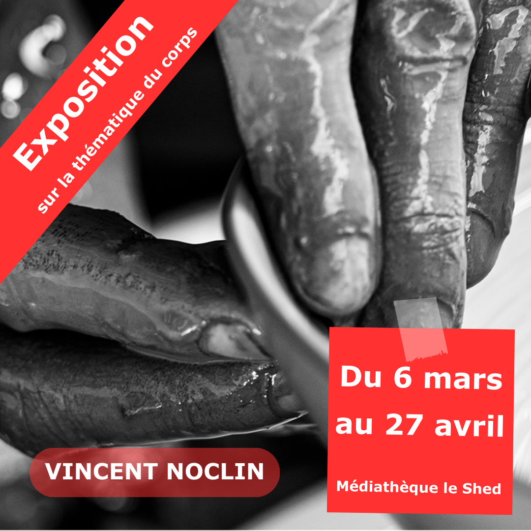Exposition Vincent Noclin 1