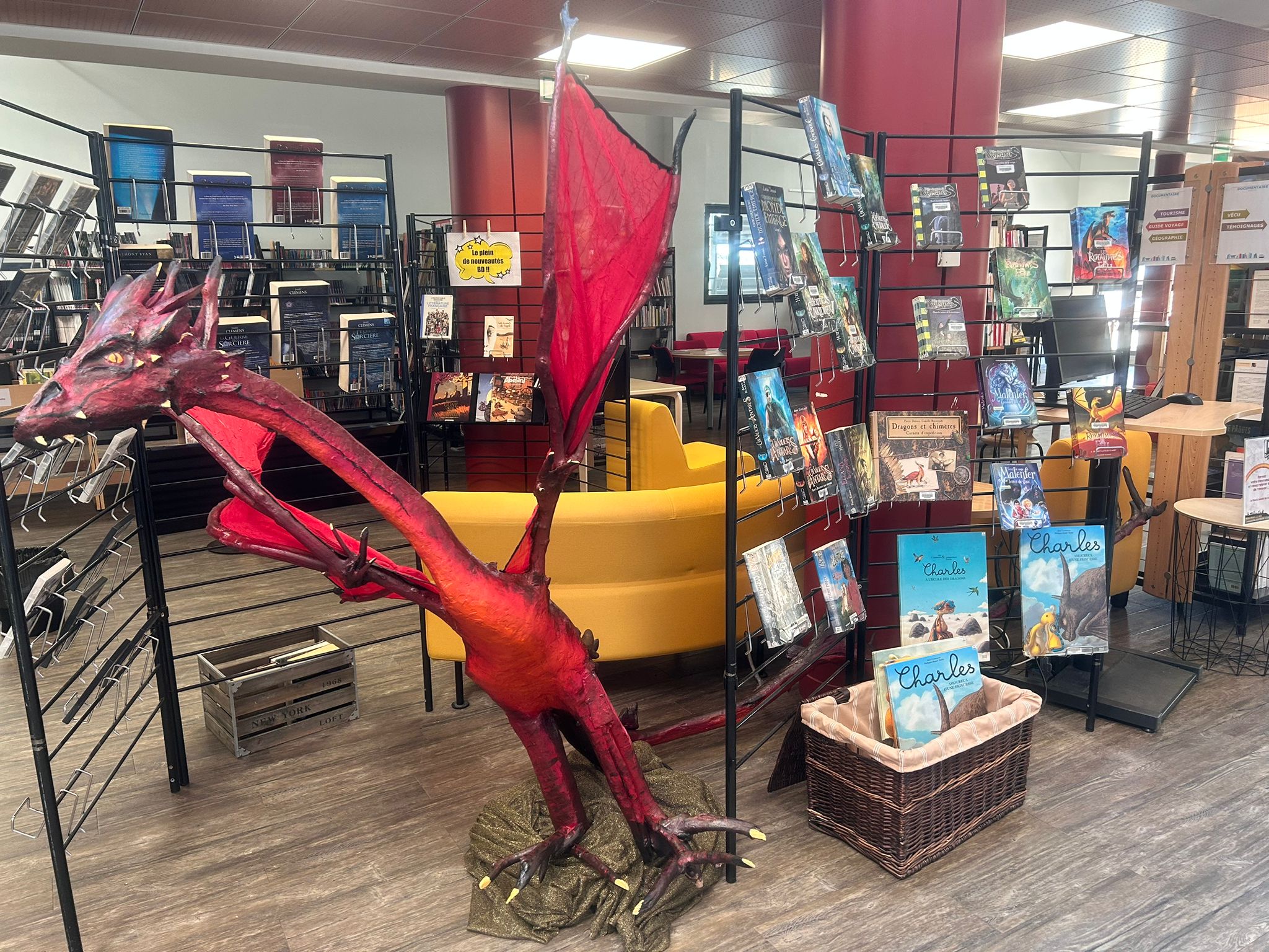 présentation de documents sur l'héroique fantasy à la médiathèque le Shed de pélussin été 2024