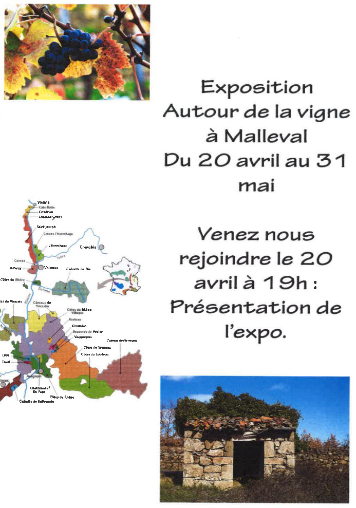 malleval vigne