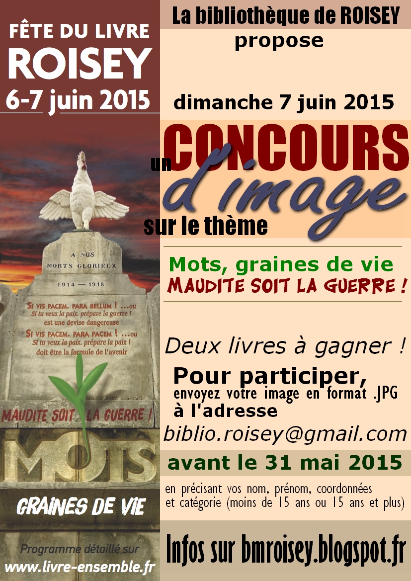 affbib-conc-dimage-fdl2015
